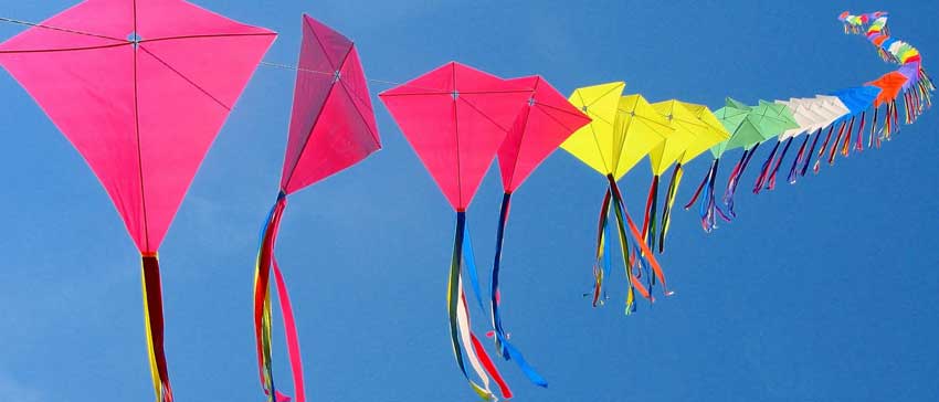 kite festival in jaipur