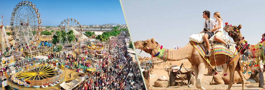 rajasthan camel safari