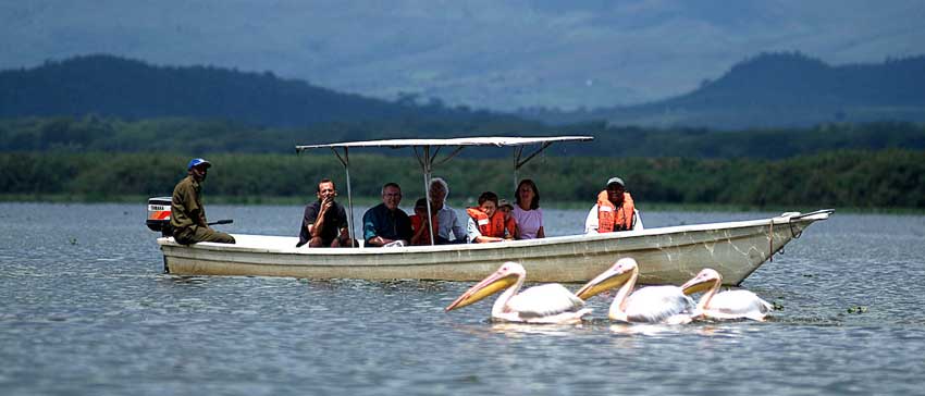 Boat Safari
