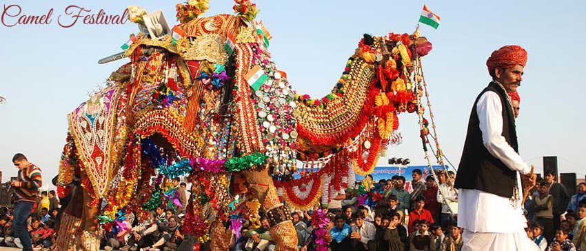 Bikaner Camel Festival