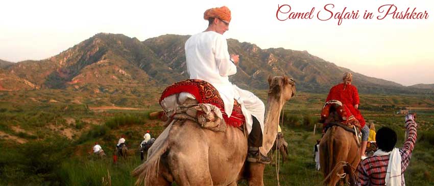 Pushkar sightseeing places