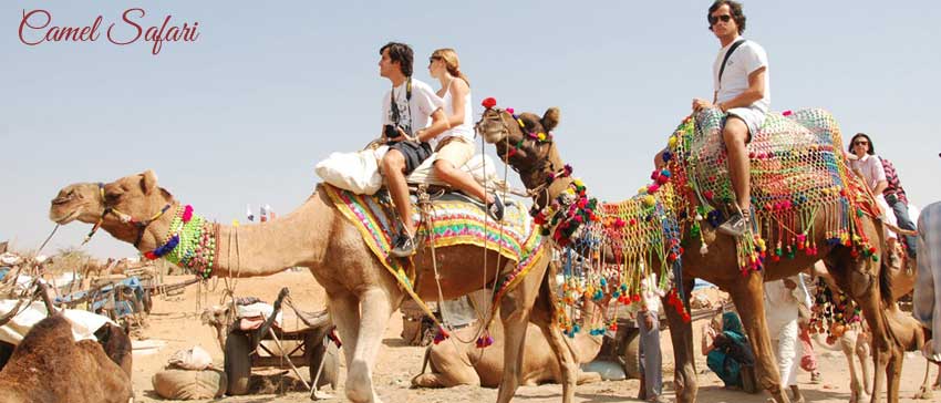 rajasthan desert safari