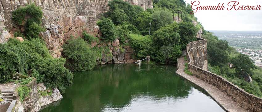 Feed fish at Gaumukh Reservoir