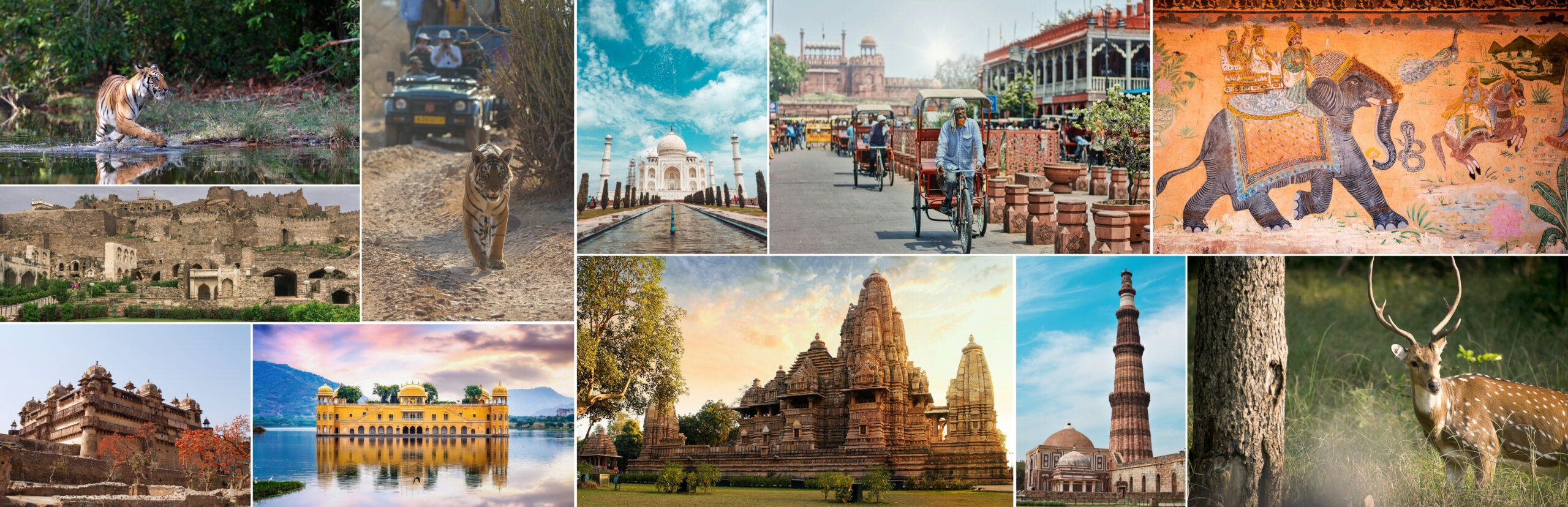 North India Wildlife Tour Packages